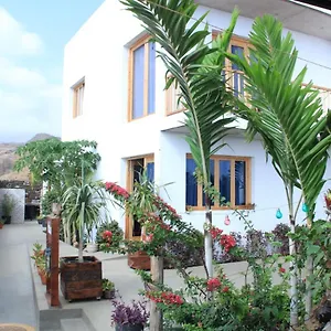  Bed & Breakfast Pipi's