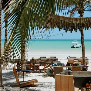 Casa Tortugas Petit Hotel&spa 4* Isla Holbox